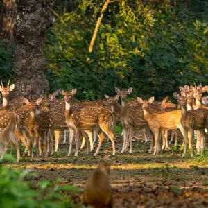 Explore Nepal Soft Adventure Tour for 9 days with Approved Holidays Pvt. Ltd. and discover unforgettable experiences - Photo 10