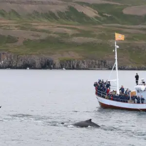 Explore 8 Day - Iceland Ring Road Tour for 8 days with Arctic Adventures and discover unforgettable experiences - Photo 3