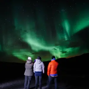 Explore 5 Day - Snaefellsnes, South Coast and Northern Lights for 5 days with Arctic Adventures and discover unforgettable experiences - Photo 7