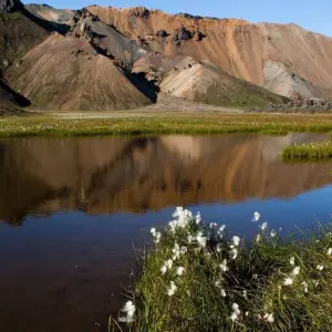 Explore Laugavegur Trek with glacier hike - 7 Day (Huts) for 7 days with Arctic Adventures and discover unforgettable experiences - Photo 9