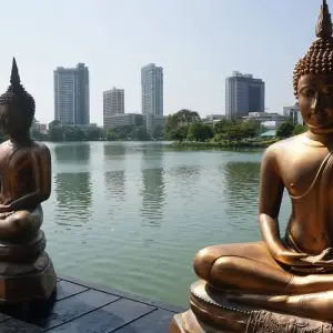 Explore Enchanting Serendipity: A Journey Through Sri Lanka's Heartland for 6 days with Apple Vacations Pvt Ltd and discover unforgettable experiences - Photo 2