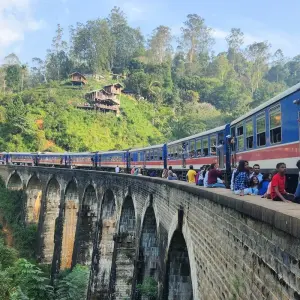 Explore 03 Days Tour to Sigiriya, Kandy, Nuwara Eliya, Ella & Udawalawe for 3 days with Apple Vacations Pvt Ltd and discover unforgettable experiences - Photo 6