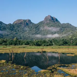 Explore Serenity and Adventure - A 16 -Day Odyssey Through Sri Lanka's Wonders for 16 days with Apple Vacations Pvt Ltd and discover unforgettable experiences - Photo 4