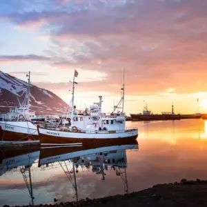 Explore 8 Day - Iceland Northern Lights Tour for 8 days with Arctic Adventures and discover unforgettable experiences - Photo 6