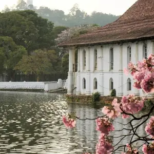 Explore 03 Days Tour to Sigiriya, Kandy, Nuwara Eliya, Ella & Udawalawe for 3 days with Apple Vacations Pvt Ltd and discover unforgettable experiences - Photo 7