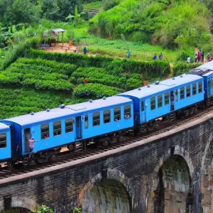 Explore Serene Sri Lanka: A Magical 5-days Journey for 5 days with Apple Vacations Pvt Ltd and discover unforgettable experiences - Photo 7