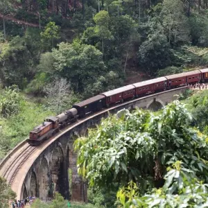 Explore Enchanting Serendipity: A Journey Through Sri Lanka's Heartland for 6 days with Apple Vacations Pvt Ltd and discover unforgettable experiences - Photo 7