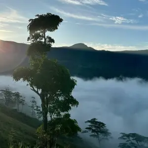 Explore Serenity and Adventure - A 16 -Day Odyssey Through Sri Lanka's Wonders for 16 days with Apple Vacations Pvt Ltd and discover unforgettable experiences - Photo 8