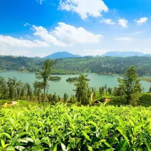 Explore Sri Lankan Splendors, From Ancient Cities to Pristine Beaches : 20 Days for 20 days with Apple Vacations Pvt Ltd and discover unforgettable experiences - Photo 5