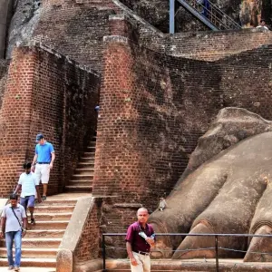 Explore Enchanting Serendipity: A Journey Through Sri Lanka's Heartland for 6 days with Apple Vacations Pvt Ltd and discover unforgettable experiences - Photo 11