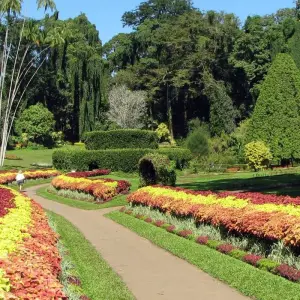 Explore A Journey Through Sri Lanka's Heartland for 6 days with Apple Vacations Pvt Ltd and discover unforgettable experiences - Photo 5