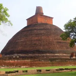 Explore Discover the Best of Sri Lanka: From Coastal Beauty to Cultural Marvels" "Luxury Package " for 18 days with Apple Vacations Pvt Ltd and discover unforgettable experiences - Photo 9