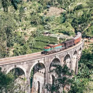 Explore Exploring Sri Lanka's Enchanting Landscapes for 6 days with Apple Vacations Pvt Ltd and discover unforgettable experiences - Photo 6