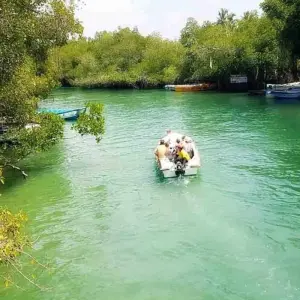 Explore Captivating Hill Country and Coastal Bliss, Immersion in Culture and Nature for 6 days with Apple Vacations Pvt Ltd and discover unforgettable experiences - Photo 7