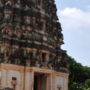 Explore A Whirlwind Tour of Culture and Natural Wonders of Sri Lanka in 8 Days for 8 days with Apple Vacations Pvt Ltd and discover unforgettable experiences - Photo 6