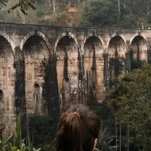 Explore Unveiling Sri Lanka's Natural and Cultural Dreamland for 8 days with Apple Vacations Pvt Ltd and discover unforgettable experiences - Photo 4