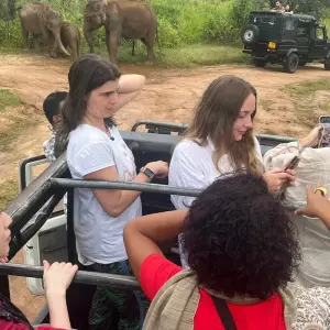 Explore Enchanting Sri Lanka: History, Scenic, Beauty, and Wildlife for 4 days with Apple Vacations Pvt Ltd and discover unforgettable experiences - Photo 4
