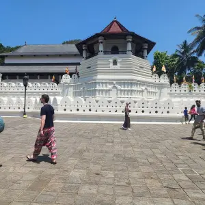 Explore Exploring Sri Lanka's Enchanting Landscapes for 6 days with Apple Vacations Pvt Ltd and discover unforgettable experiences - Photo 8
