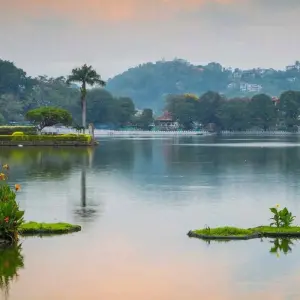 Explore 09-Day Expedition through Sri Lanka's Treasures for 9 days with Apple Vacations Pvt Ltd and discover unforgettable experiences - Photo 7