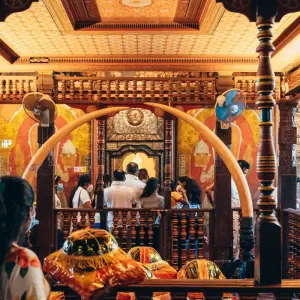 Explore Captivating Hill Country and Coastal Bliss, Immersion in Culture and Nature for 6 days with Apple Vacations Pvt Ltd and discover unforgettable experiences - Photo 10
