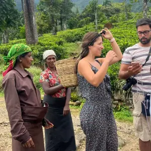 Explore Enchanting Sri Lanka: History, Scenic, Beauty, and Wildlife for 4 days with Apple Vacations Pvt Ltd and discover unforgettable experiences - Photo 6
