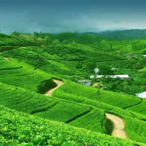 Explore Captivating Hill Country and Coastal Bliss, Immersion in Culture and Nature for 6 days with Apple Vacations Pvt Ltd and discover unforgettable experiences - Photo 11