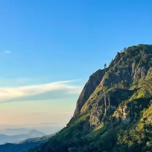 Explore The Ultimate Sri Lankan Adventure for 6 days with Apple Vacations Pvt Ltd and discover unforgettable experiences - Photo 11