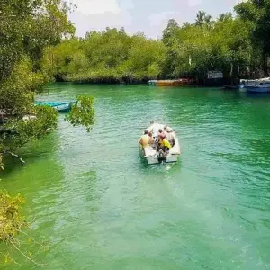 Explore Unveiling Sri Lanka's Natural and Cultural Dreamland for 8 days with Apple Vacations Pvt Ltd and discover unforgettable experiences - Photo 8