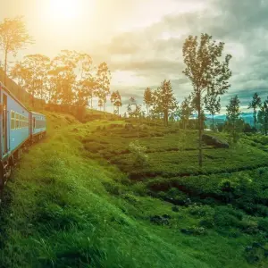 Explore Exploring Cultural Treasures and Natural Wonders in 5 Days for 5 days with Apple Vacations Pvt Ltd and discover unforgettable experiences - Photo 8