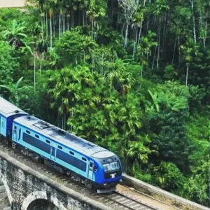 Explore 09-Day Expedition through Sri Lanka's Treasures for 9 days with Apple Vacations Pvt Ltd and discover unforgettable experiences - Photo 11