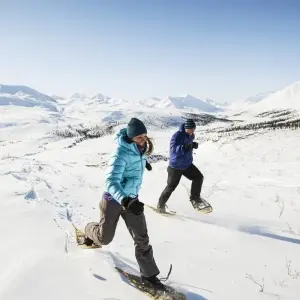 Explore Arctic Winter Explorer | Ice Road to the Arctic Sea for 8 days with Arctic Range Adventure and discover unforgettable experiences - Photo 5