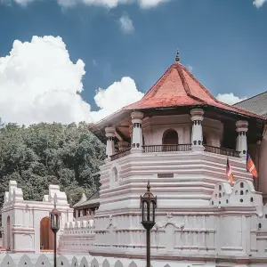 Explore Exploring Cultural Treasures and Natural Wonders in 5 Days for 5 days with Apple Vacations Pvt Ltd and discover unforgettable experiences - Photo 10
