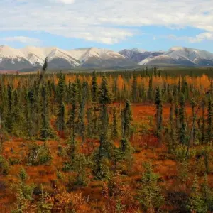 Explore Arctic Summer Explorer | Road to the Arctic Sea for 7 days with Arctic Range Adventure and discover unforgettable experiences - Photo 3