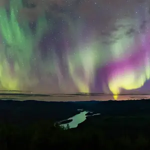 Explore Arctic Tundra & Dawson City | Naturally Wild for 6 days with Arctic Range Adventure and discover unforgettable experiences - Photo 5