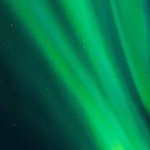 Explore Arctic Tundra & Dawson City | Naturally Wild for 6 days with Arctic Range Adventure and discover unforgettable experiences - Photo 6