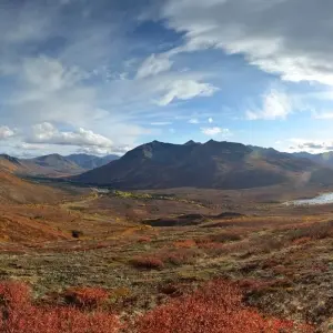 Explore Arctic Summer Explorer | Road to the Arctic Sea for 7 days with Arctic Range Adventure and discover unforgettable experiences - Photo 5