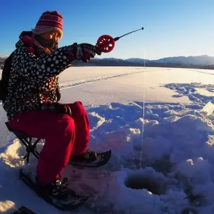 Explore Arctic Winter Heartbeat | Active Winter Adventure for 7 days with Arctic Range Adventure and discover unforgettable experiences - Photo 5