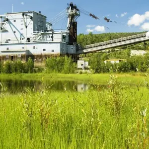 Explore Arctic Tundra & Dawson City | Naturally Wild for 6 days with Arctic Range Adventure and discover unforgettable experiences - Photo 7