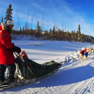 Explore Arctic Winter Heartbeat | Active Winter Adventure for 7 days with Arctic Range Adventure and discover unforgettable experiences - Photo 6