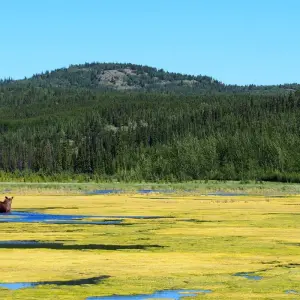 Explore Best Value Aurora Viewing | Wildlife & Hot Springs for 4 days with Arctic Range Adventure and discover unforgettable experiences - Photo 8