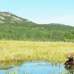 Explore Arctic Summer Heartbeat | Active Summer Adventure for 7 days with Arctic Range Adventure and discover unforgettable experiences - Photo 7