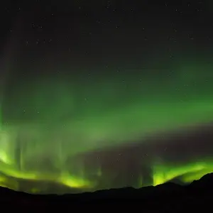 Explore Best Value Aurora Viewing | Wildlife & Hot Springs for 4 days with Arctic Range Adventure and discover unforgettable experiences - Photo 9