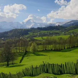 Explore Tale of Georgia for 11 days with Around Georgia and discover unforgettable experiences - Photo 5