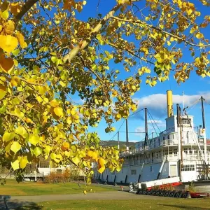Explore Arctic Summer Heartbeat | Active Summer Adventure for 7 days with Arctic Range Adventure and discover unforgettable experiences - Photo 8