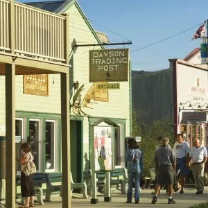 Explore Arctic Tundra & Dawson City | Naturally Wild for 6 days with Arctic Range Adventure and discover unforgettable experiences - Photo 11