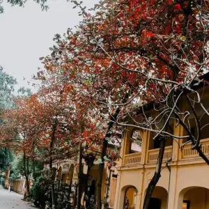 Explore 6 Days Explore Northern Vietnam's Highlights for 6 days with Asia King Travel and discover unforgettable experiences - Photo 2