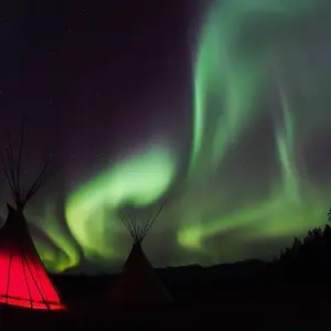 Explore Best Value Aurora Viewing | Wildlife & Hot Springs for 4 days with Arctic Range Adventure and discover unforgettable experiences - Photo 11