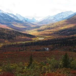 Explore Arctic Summer Explorer | Road to the Arctic Sea for 7 days with Arctic Range Adventure and discover unforgettable experiences - Photo 10