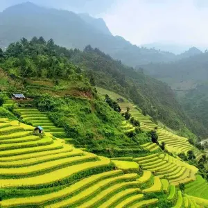 Explore 9 Days Northern Vietnam: From the Mountain to the Sea for 9 days with Asia King Travel and discover unforgettable experiences - Photo 3
