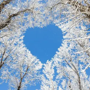 Explore Arctic Winter Heartbeat | Active Winter Adventure for 7 days with Arctic Range Adventure and discover unforgettable experiences - Photo 11